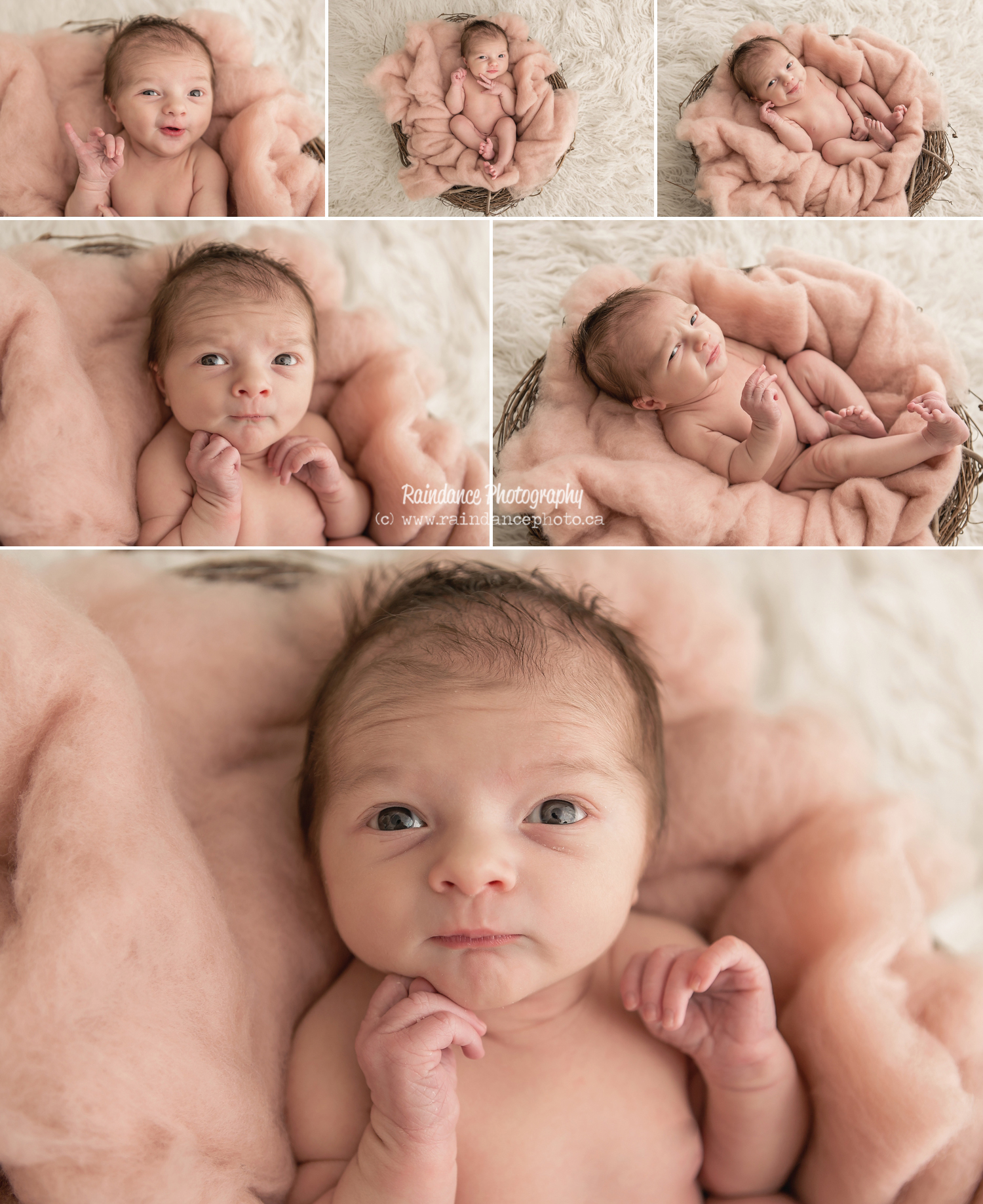 Emily - Barrie Newborn Baby Photographer 11