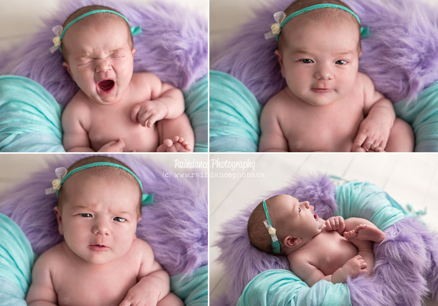Georgia - Barrie Newborn Baby Photographer 5