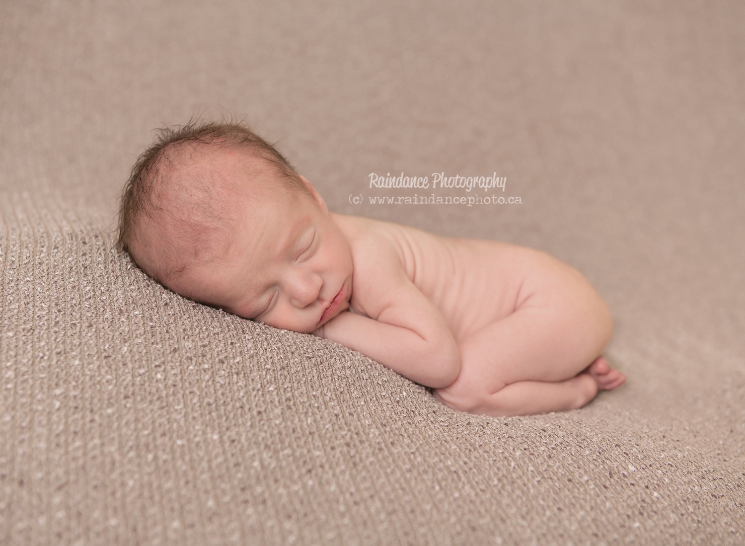 Twin Newborn Session - Barrie Ontario Photographer 10