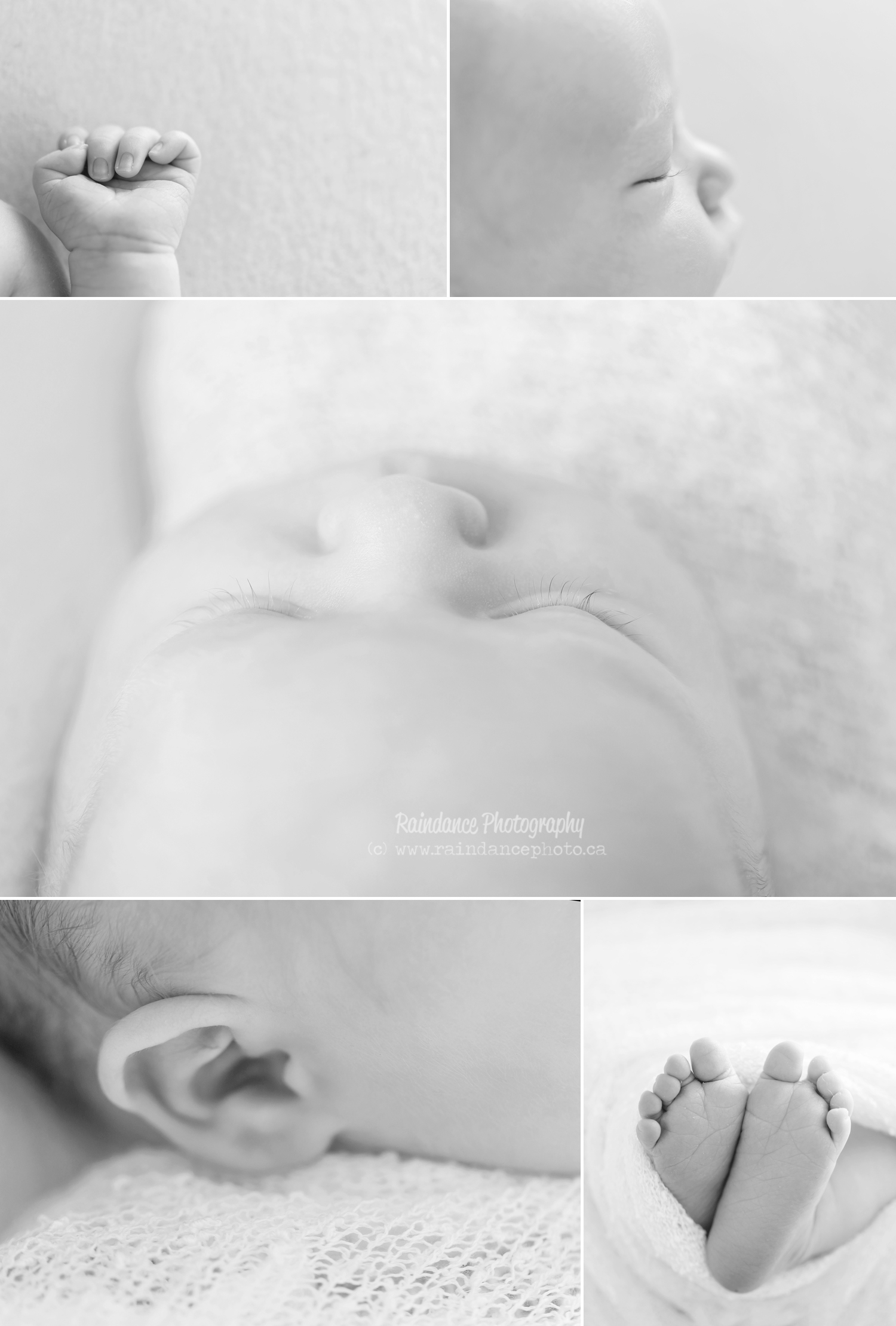 Carson - Barrie Newborn Photographer 2