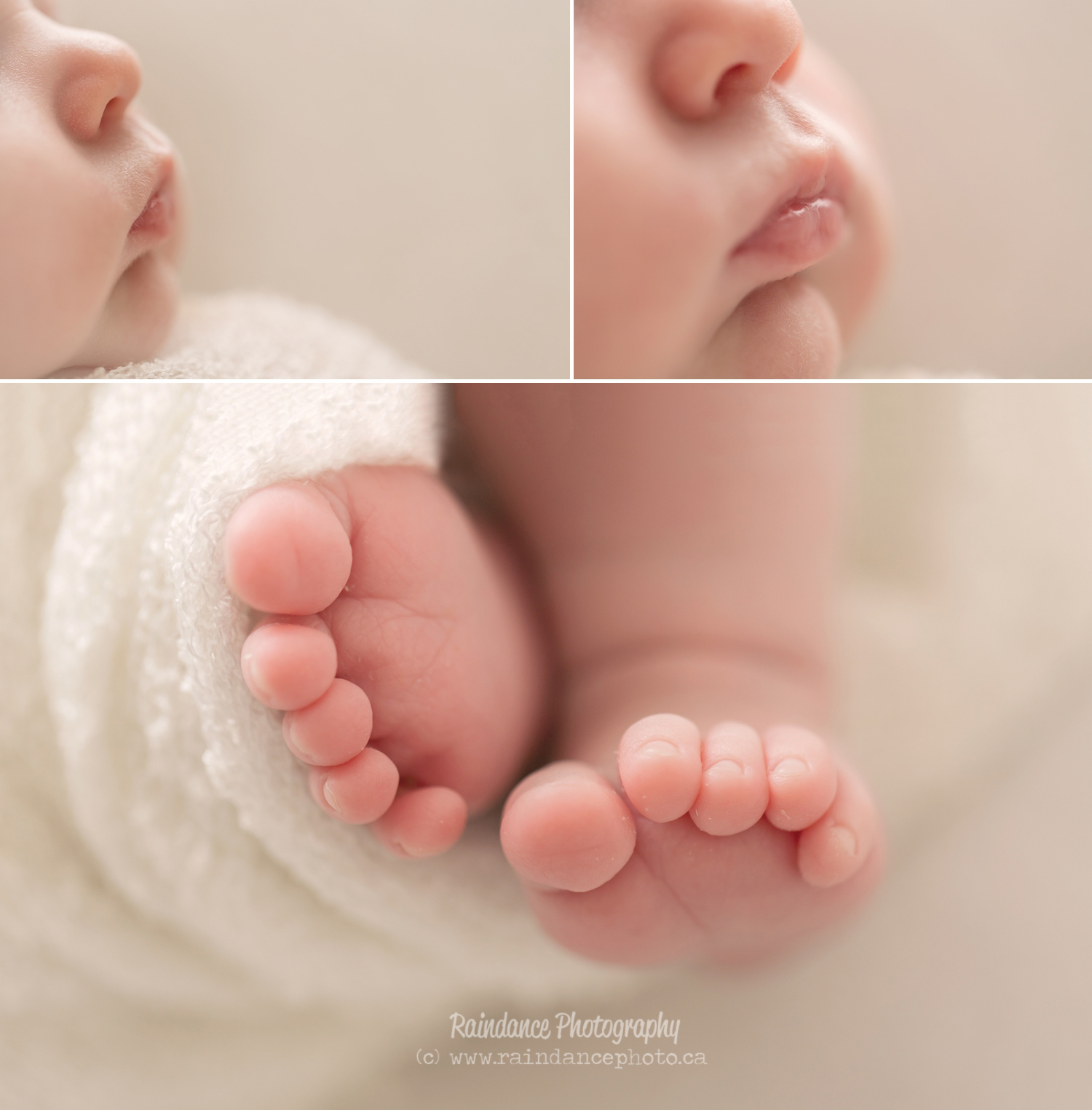 Carson - Barrie Newborn Photographer 3