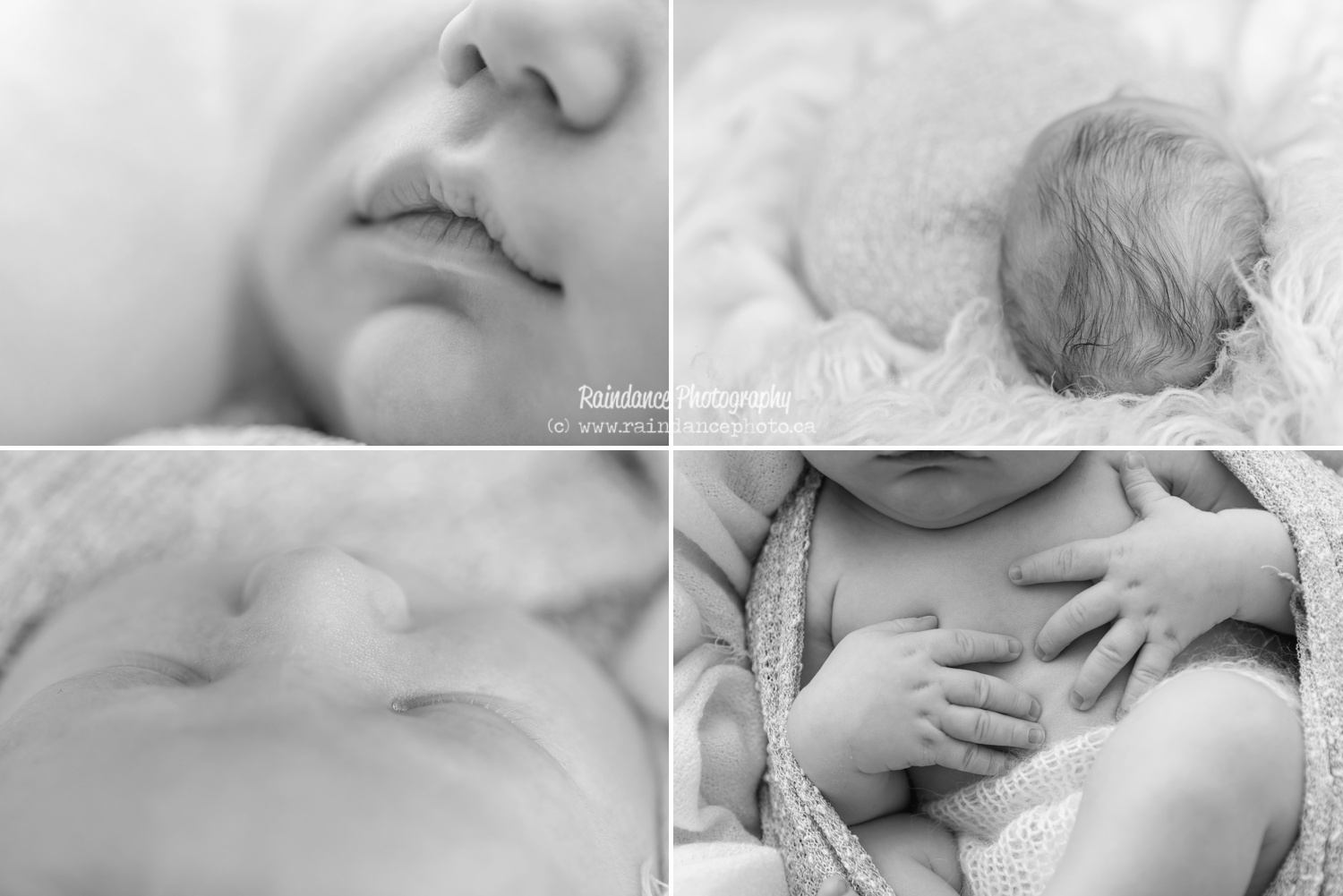 Shea - Barrie Newborn Baby Photographer 6